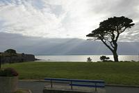 Cjp_2017-04-21_070022.jpg