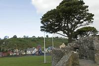 Cjp_2017-04-21_073652.jpg