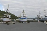Cjp_2017-04-21_074148.jpg