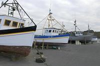 Cjp_2017-04-21_074356.jpg