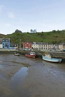 Cjp_2017-04-21_074520.jpg