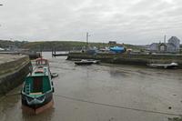 Cjp_2017-04-21_074758.jpg