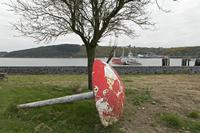 Cjp_2017-04-21_074940.jpg