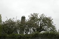 Cjp_2017-04-21_093432.jpg