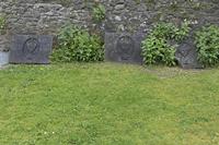 Cjp_2017-04-21_094046.jpg