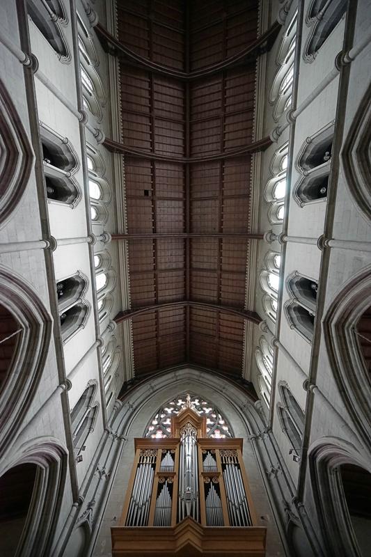 Cjp_2017-04-21_124916.jpg
