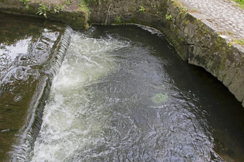 Cjp_2017-04-21_141302.jpg