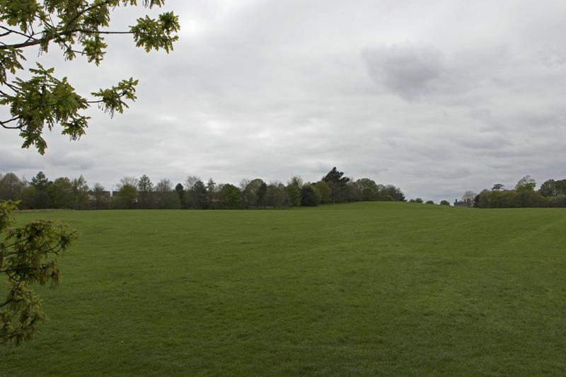 Cjp_2017-04-21_142030.jpg