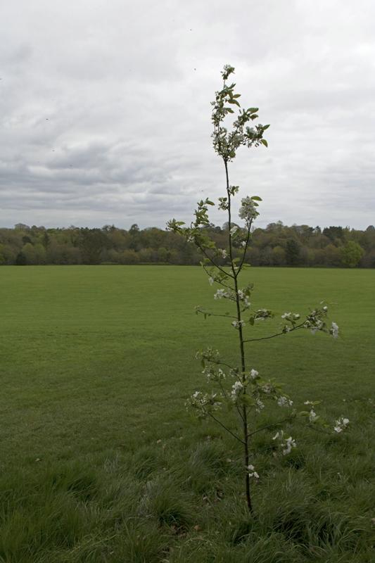 Cjp_2017-04-21_142934.jpg