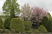 Cjp_2017-04-21_123244.jpg