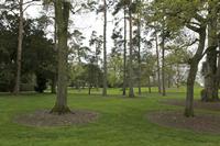 Cjp_2017-04-21_140404.jpg