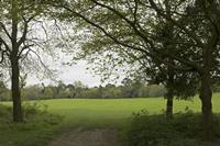 Cjp_2017-04-21_140652.jpg