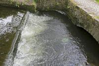 Cjp_2017-04-21_141302.jpg