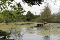 Cjp_2017-04-21_141850.jpg