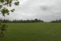 Cjp_2017-04-21_142030.jpg