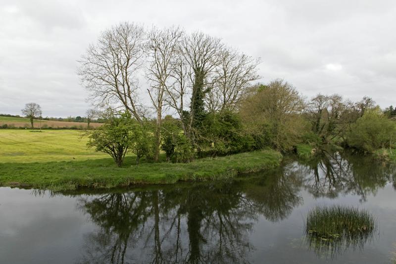 Cjp_2017-04-22_084548.jpg