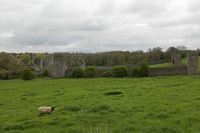 Cjp_2017-04-22_085700.jpg