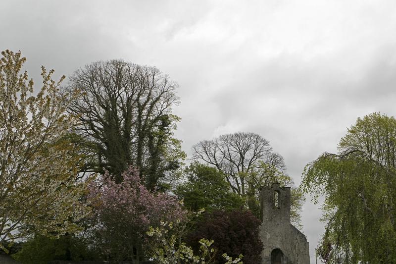 Cjp_2017-04-22_090026.jpg