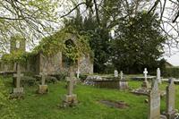 Cjp_2017-04-22_080234.jpg