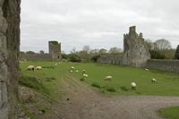 Cjp_2017-04-22_080824.jpg