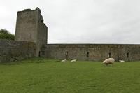 Cjp_2017-04-22_080932.jpg