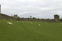 Cjp_2017-04-22_080958.jpg