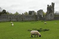 Cjp_2017-04-22_081200.jpg