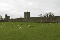 Cjp_2017-04-22_081206.jpg