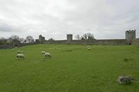 Cjp_2017-04-22_081218.jpg