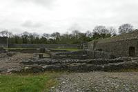 Cjp_2017-04-22_081656.jpg