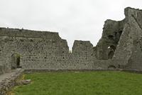Cjp_2017-04-22_081850.jpg