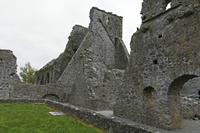 Cjp_2017-04-22_081914.jpg