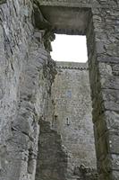 Cjp_2017-04-22_082146.jpg