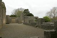 Cjp_2017-04-22_082200.jpg