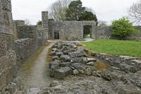 Cjp_2017-04-22_082228.jpg