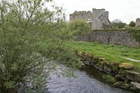 Cjp_2017-04-22_082954.jpg