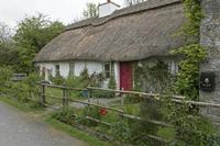 Cjp_2017-04-22_083646.jpg