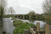 Cjp_2017-04-22_084144.jpg