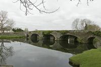 Cjp_2017-04-22_084324.jpg