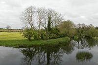 Cjp_2017-04-22_084548.jpg