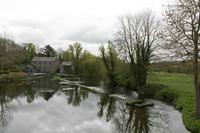 Cjp_2017-04-22_084632.jpg