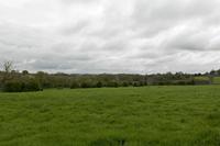 Cjp_2017-04-22_085504.jpg