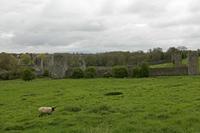 Cjp_2017-04-22_085700.jpg
