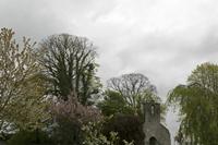 Cjp_2017-04-22_090026.jpg