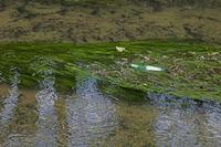 Cjp_2017-04-22_093018.jpg