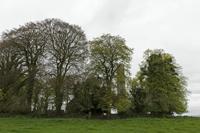Cjp_2017-04-22_115840.jpg