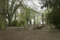 Cjp_2017-04-22_115920.jpg