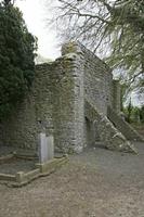 Cjp_2017-04-22_120010.jpg