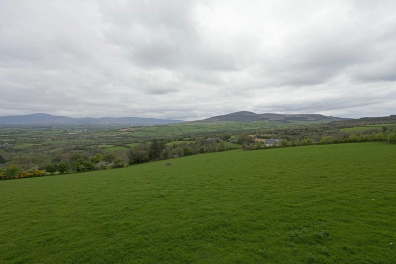 Cjp_2017-04-22_130128.jpg