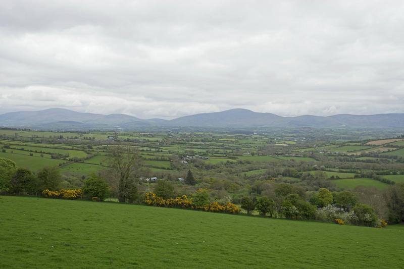 Cjp_2017-04-22_130144.jpg